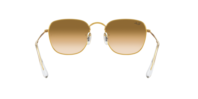 Ray-Ban Frank Sunglasses RB3857 919651