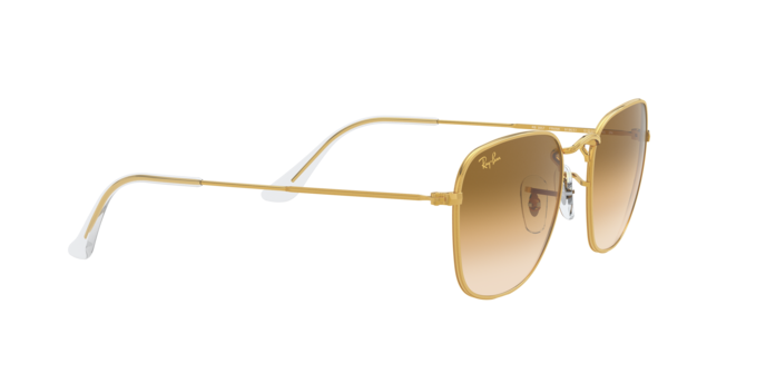 Ray-Ban Frank Sunglasses RB3857 919651