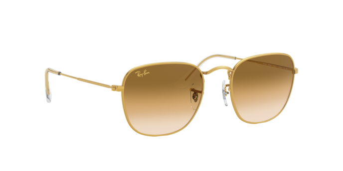 Ray-Ban Frank Sunglasses RB3857 919651