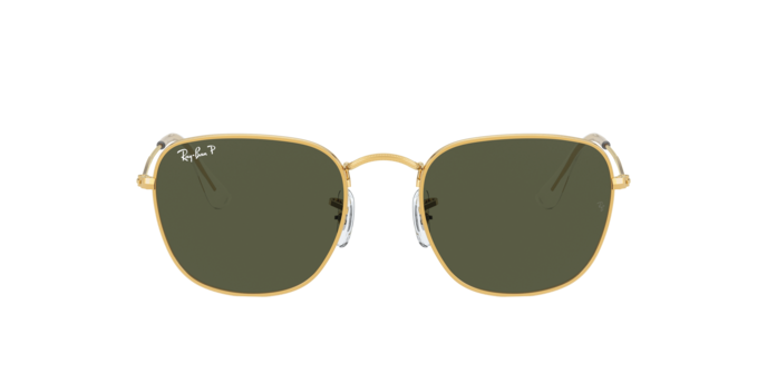 Ray-Ban Frank Sunglasses RB3857 919658