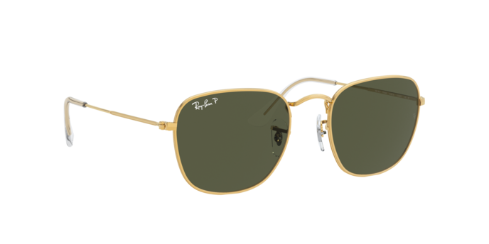 Ray-Ban Frank Sunglasses RB3857 919658