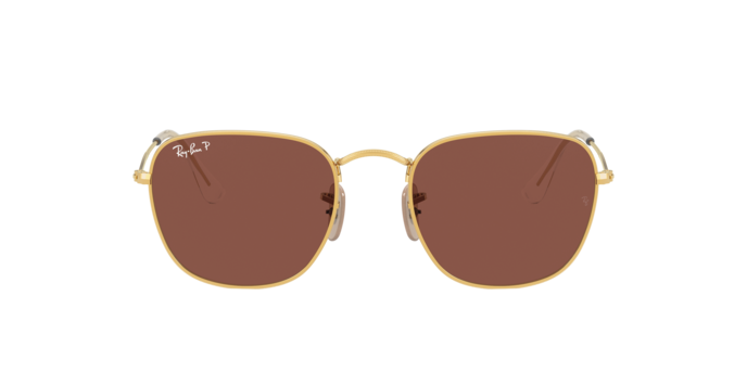 Ray-Ban Frank Sunglasses RB3857 9196AF