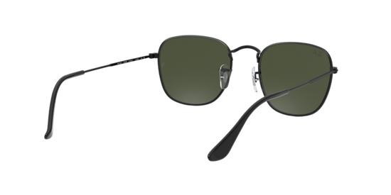 Ray-Ban Frank Sunglasses RB3857 919931