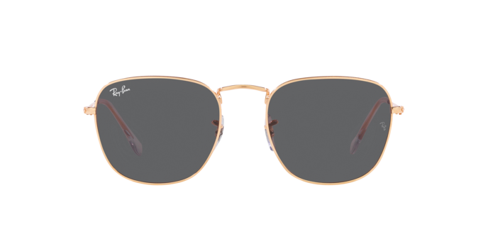 Ray-Ban Frank Sunglasses RB3857 9202B1