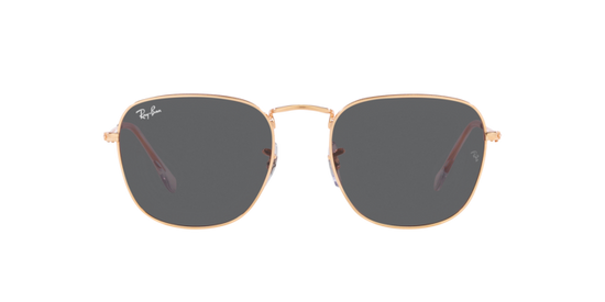 Ray-Ban Frank Sunglasses RB3857 9202B1