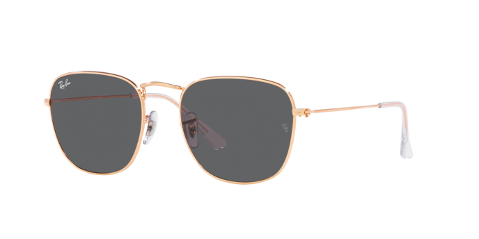 Ray-Ban Frank Sunglasses RB3857 9202B1