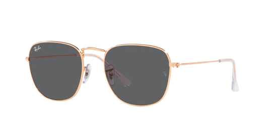 Ray-Ban Frank Sunglasses RB3857 9202B1