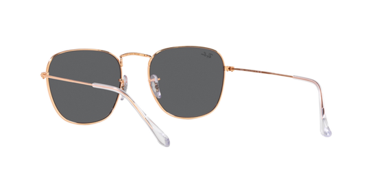 Ray-Ban Frank Sunglasses RB3857 9202B1