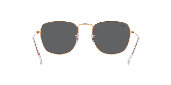 Ray-Ban Frank Sunglasses RB3857 9202B1