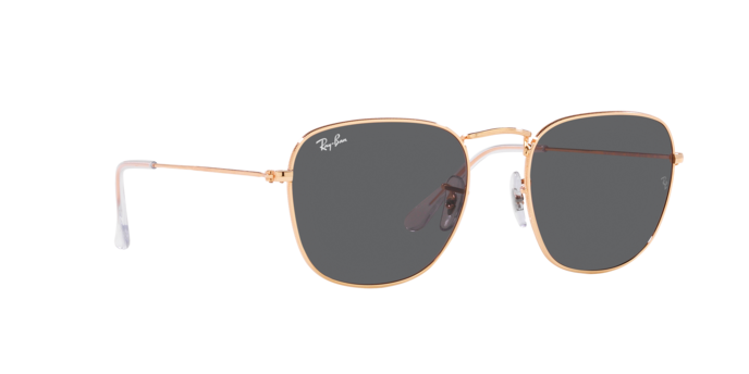 Ray-Ban Frank Sunglasses RB3857 9202B1