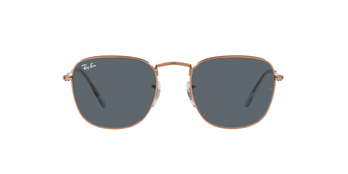 Ray-Ban Frank Sunglasses RB3857 9202R5