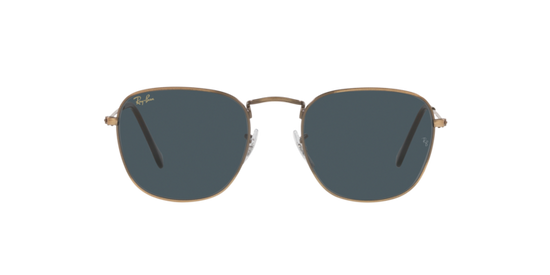 Ray-Ban Frank Sunglasses RB3857 9230R5