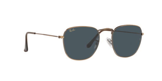 Ray-Ban Frank Sunglasses RB3857 9230R5