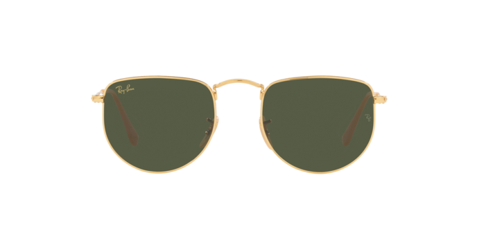 Ray-Ban Elon Sunglasses RB3958 919631