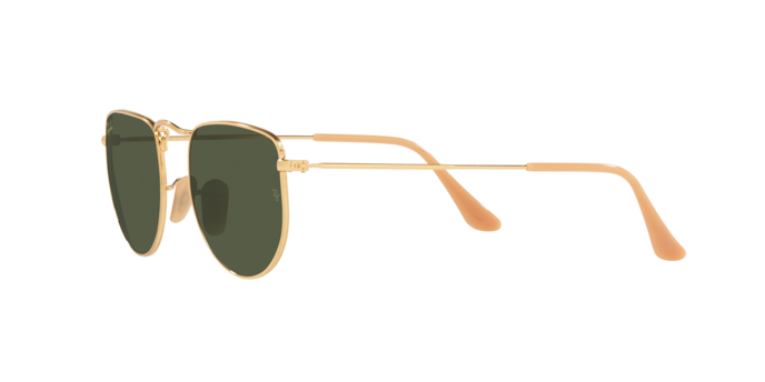 Ray-Ban Elon Sunglasses RB3958 919631