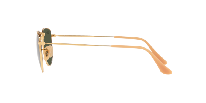 Ray-Ban Elon Sunglasses RB3958 919631