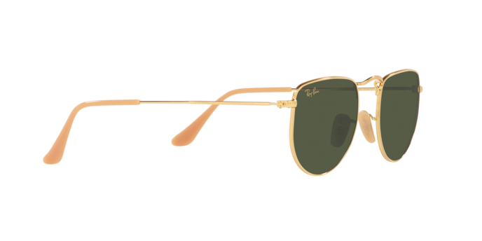 Ray-Ban Elon Sunglasses RB3958 919631