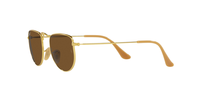 Ray-Ban Elon Sunglasses RB3958 919657