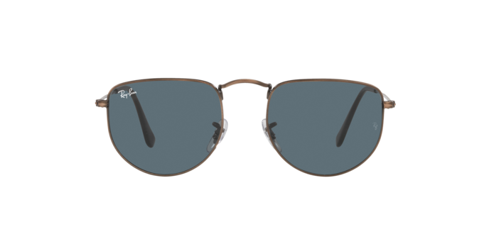 Ray-Ban Elon Sunglasses RB3958 9230R5