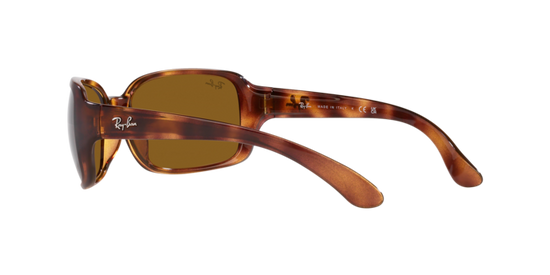 Ray-Ban Rb4068 Sunglasses RB4068 642/33