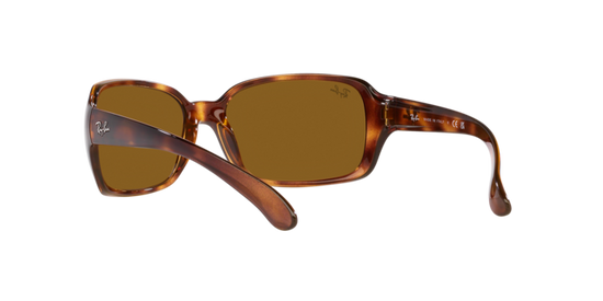 Ray-Ban Rb4068 Sunglasses RB4068 642/33