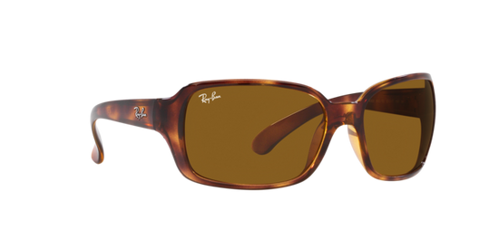 Ray-Ban Rb4068 Sunglasses RB4068 642/33