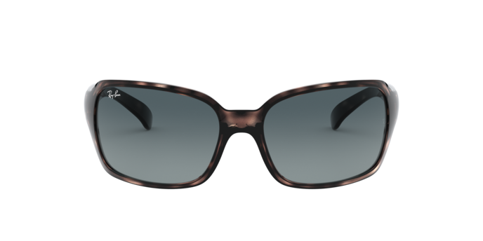 Ray-Ban Rb4068 Sunglasses RB4068 642/3M