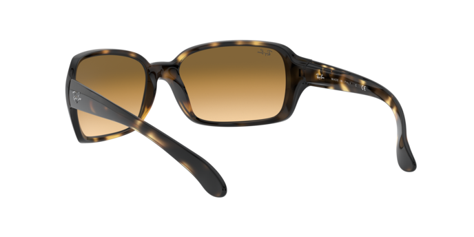 Ray-Ban Rb4068 Sunglasses RB4068 710/51