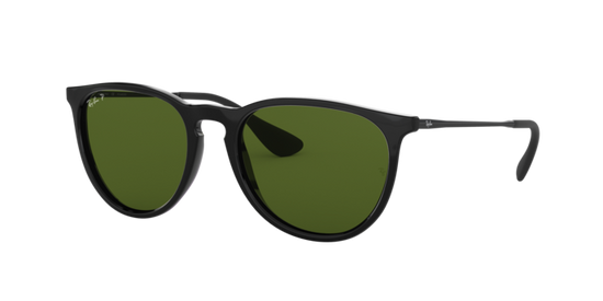 Ray-Ban Erika Sunglasses RB4171F 601/2P