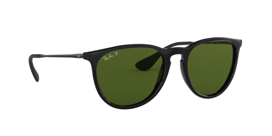 Ray-Ban Erika Sunglasses RB4171F 601/2P