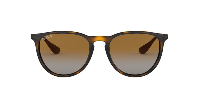 Ray-Ban Erika Sunglasses RB4171F 710/T5