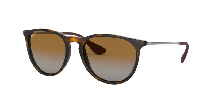 Ray-Ban Erika Sunglasses RB4171F 710/T5