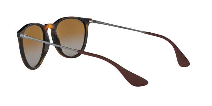 Ray-Ban Erika Sunglasses RB4171F 710/T5