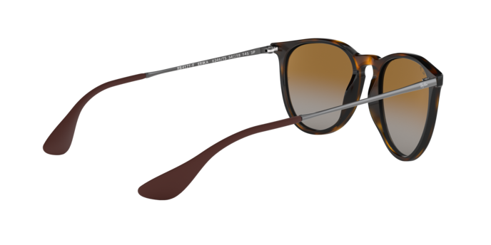 Ray-Ban Erika Sunglasses RB4171F 710/T5