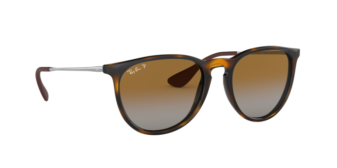 Ray-Ban Erika Sunglasses RB4171F 710/T5
