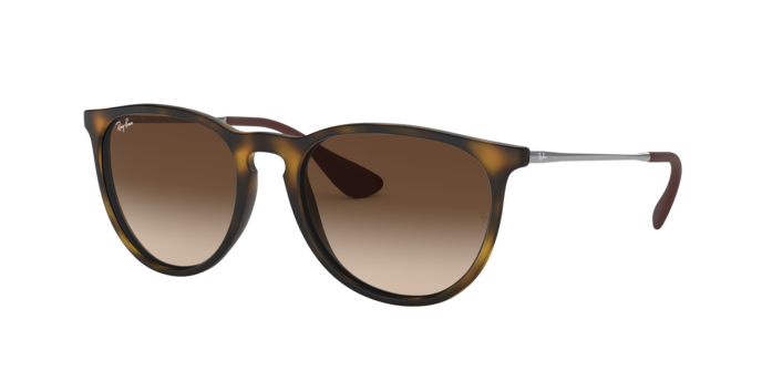 Ray-Ban Erika Sunglasses RB4171F 865/13