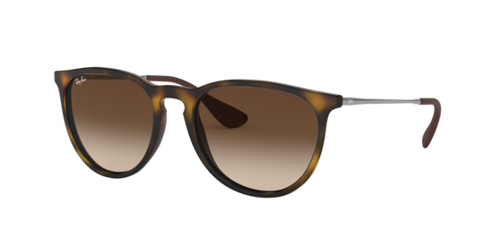 Ray-Ban Erika Sunglasses RB4171F 865/13