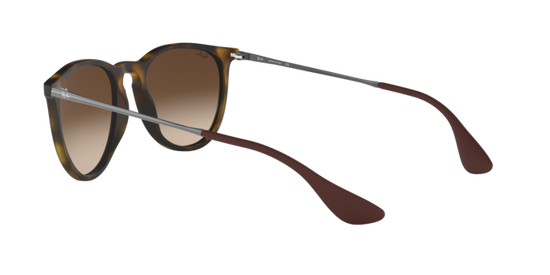 Ray-Ban Erika Sunglasses RB4171F 865/13