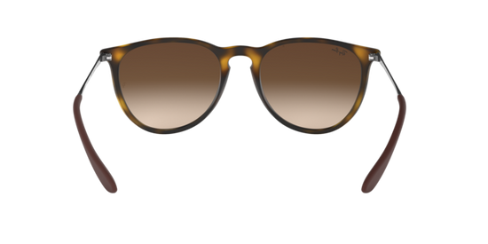 Ray-Ban Erika Sunglasses RB4171F 865/13