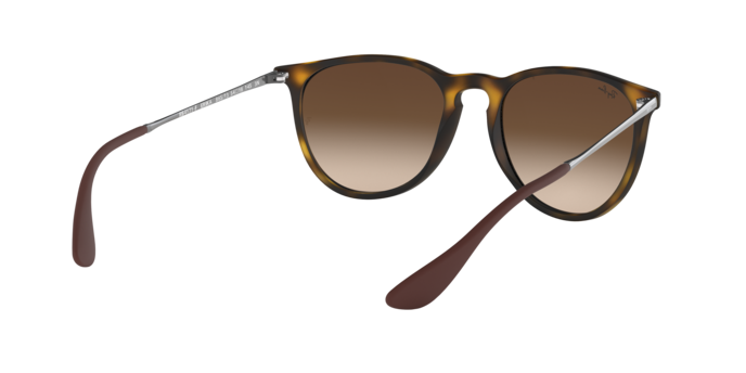 Ray-Ban Erika Sunglasses RB4171F 865/13