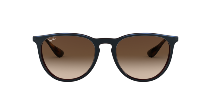 Ray-Ban Erika Sunglasses RB4171 631513