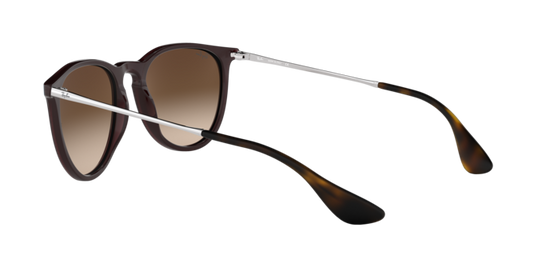 Ray-Ban Erika Sunglasses RB4171 631513