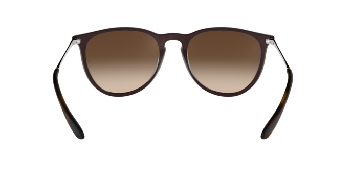 Ray-Ban Erika Sunglasses RB4171 631513