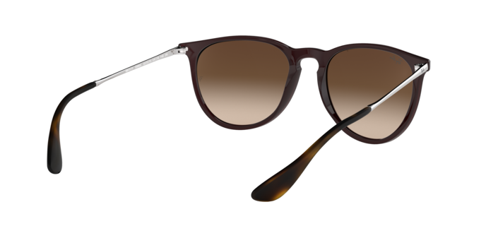 Ray-Ban Erika Sunglasses RB4171 631513