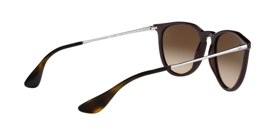 Load image into Gallery viewer, Ray-Ban Erika Sunglasses RB4171 631513
