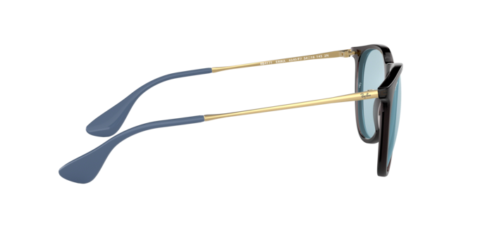 Ray-Ban Erika Sunglasses RB4171 6340F7