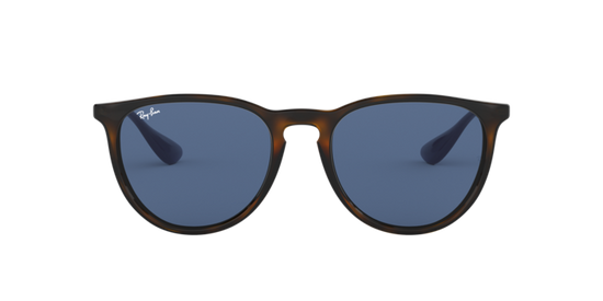 Ray-Ban Erika Sunglasses RB4171 639080