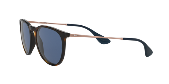 Ray-Ban Erika Sunglasses RB4171 639080