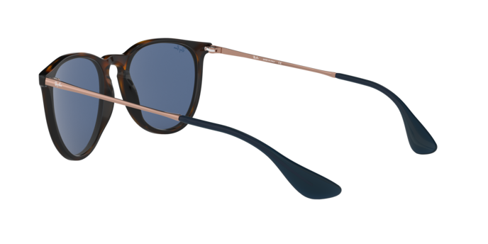 Ray-Ban Erika Sunglasses RB4171 639080