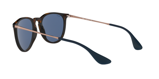 Ray-Ban Erika Sunglasses RB4171 639080